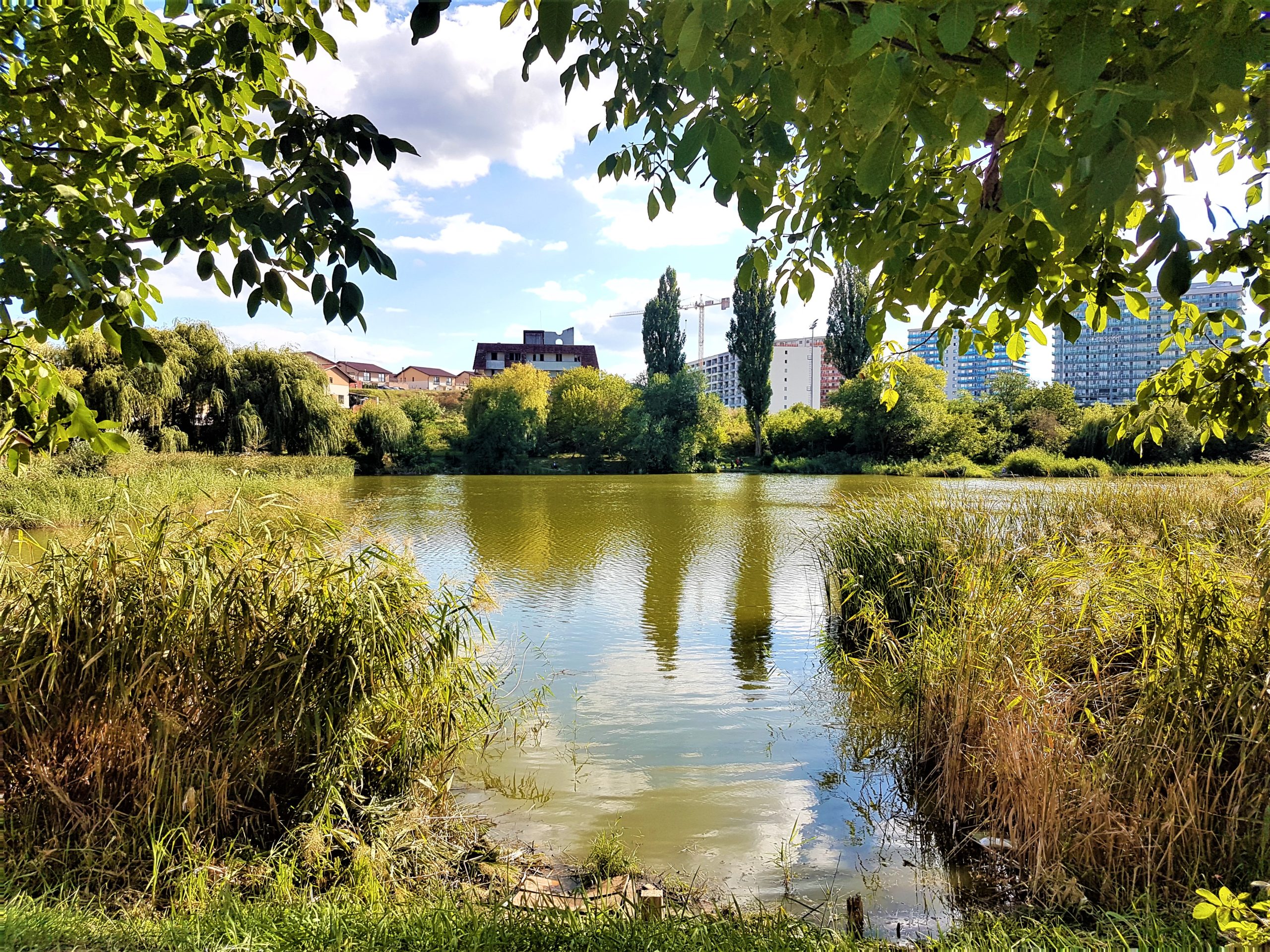 Ziua în care nu mai ești nemuritor